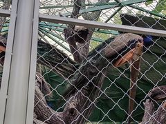 -静之湖度假区