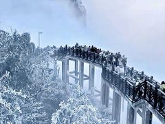 -张家界天门山国家森林公园