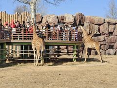 -济南野生动物世界