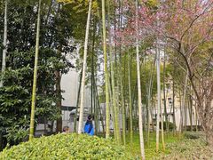 -浙江大学(玉泉校区)