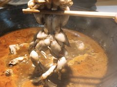-老天桥蛙炉火锅(姑苏总店)