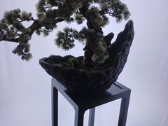 -滇铺子(欣都龙城店)