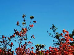 -瑞安圣井山景区