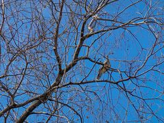 -玄武湖景区-情侣园游乐场