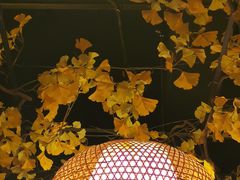 -庭院小酌(瑞莲街店)