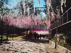 -北京十三陵国家森林公园蟒山景区