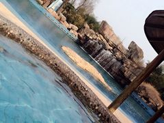 -金孔雀温泉旅游度假村