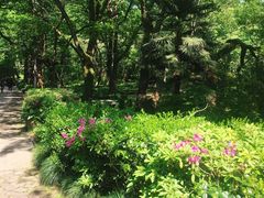-法云古村