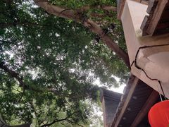 -糖潮糖水铺(省府店)