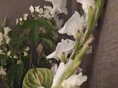 -大拙里·精致融合菜(沙湖桃源国际店)