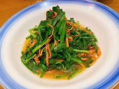 韭菜虫草花-十二厨·土菜雅院