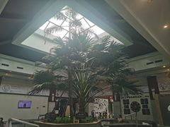 -国信南山温泉