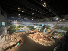 -自贡恐龙博物馆