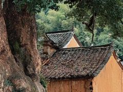 -杨家堂村