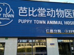 -芭比堂宠物医院·全科爱猫医院·仁德分院