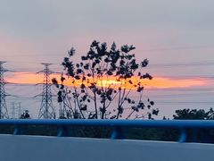 -南汇新城海滩