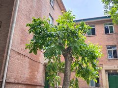 -山东师范大学(千佛山校区)