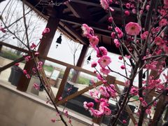 -苏州湾王焰温泉度假酒店