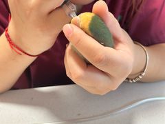 -瑞派·关忠动物医院·异宠专科·犬猫肿瘤·皮肤专科(望京店)