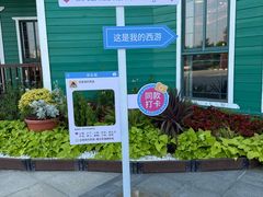-荷兰花海