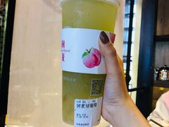 -树夏(建设路店)