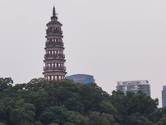 -顺峰山公园