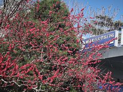 -北京大学东门(地铁站)