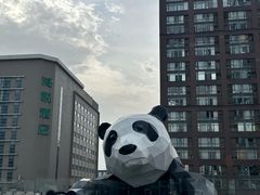 -蓉府金足印象(草市街22分店)