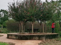 -武汉紫薇都市田园