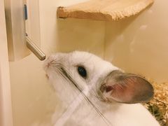 -龙猫仔乐园(惠福东路店)