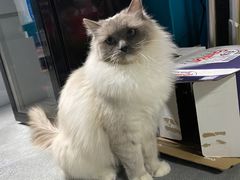 -零纪元VR体验馆·桌游(黄浦店)