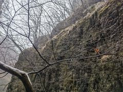 -野三坡百里峡景区