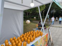 -南翔镇银翔湖公园