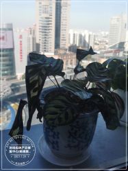 -时尚妈咪产后修复中心