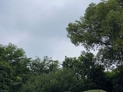 -杭州城北体育公园