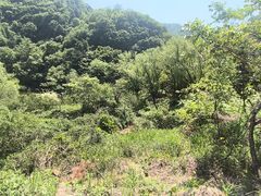 -秦岭终南山世界地质公园翠华山景区