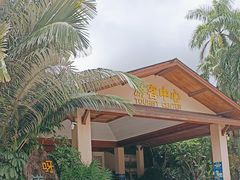 -呀诺达热带雨林