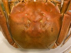 -王宝和酒家(黄浦店)