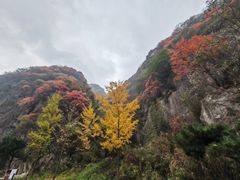 -秦岭终南山世界地质公园翠华山景区