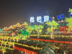 -枇杷园食为鲜火锅(南山店)