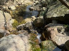 -北仑森林植物园