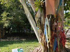 -中国科学院西双版纳热带植物园