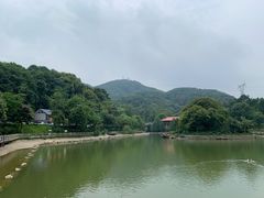 -广州市帽峰山景区