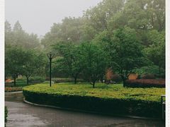 -徐家汇源景区-衡山公园