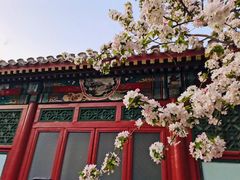 -海棠花溪(元大都城垣遗址公园)