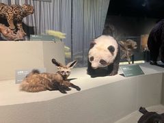 -深圳博物馆历史民俗馆