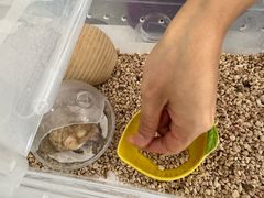 -中农国际动物医院24小时·猫科·骨科·急重症中心