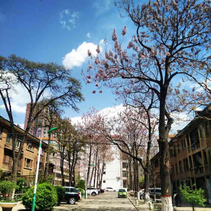 山西大学(坞城校区)-"山西大学是山西省最高学府,这里有几万名莘.