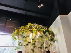 -一笼小幸运