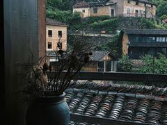 -杨家堂村